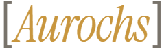 Aurochs — creative agency founded by Stefan Kovalik
